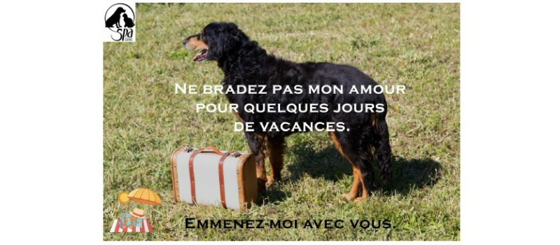 La SPA du Gers lance une nouvelle campagne contre l'abandon en partenariat avec le club ISO d'Auch