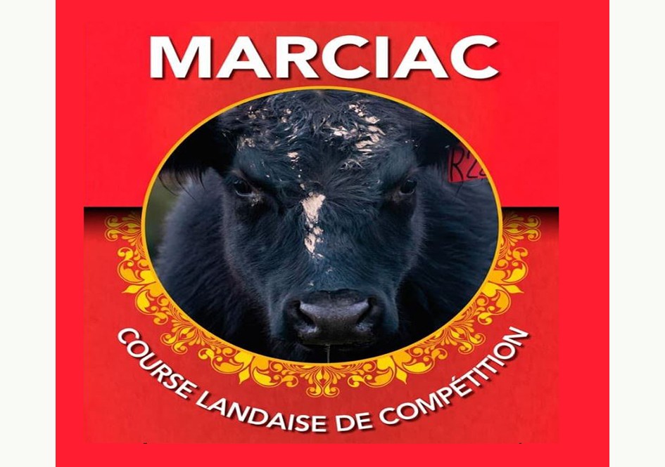 marciac course landaise xxx.jpg