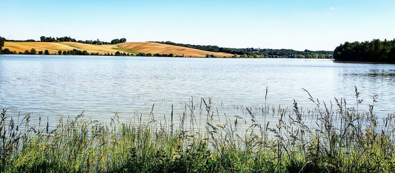 Petite balade autour de la biodiversité au lac de Candau