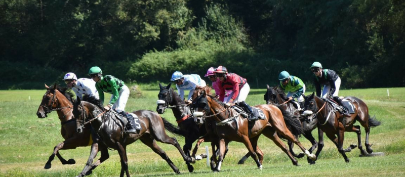 Courses de chevaux et repas