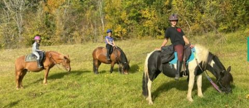 Des places sont disponibles pour le mini-camp Aventure Equestre