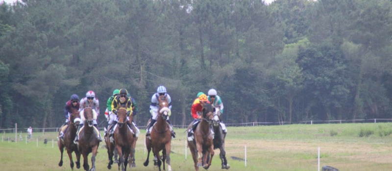 Courses de chevaux