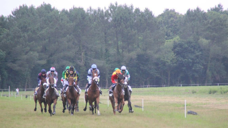 Courses de chevaux