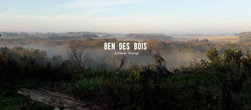 Initiez-vous à la sculpture du bois  avec Ben des Bois !