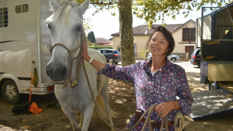 Un coup de main occasionnel pour les propriétaires de chevaux
