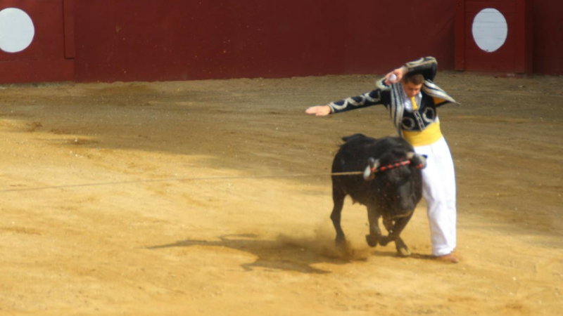 Course landaise