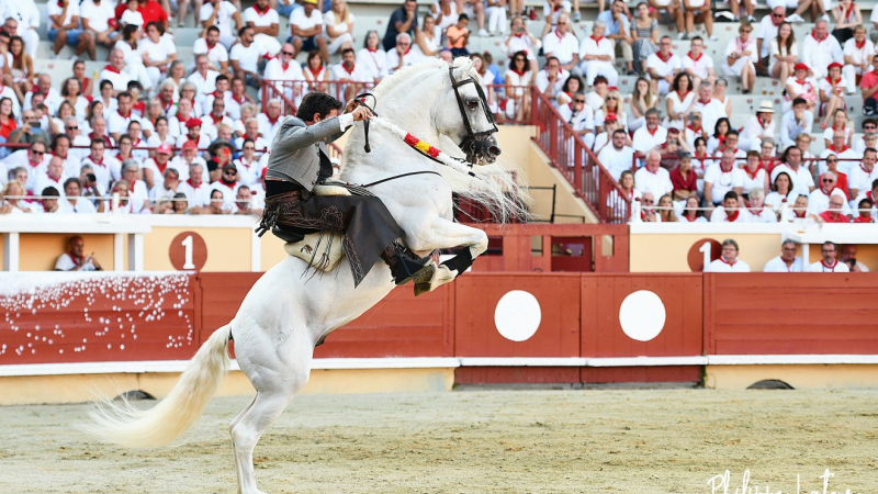 Cazaubon organise sa traditionnelle corrida portugaise