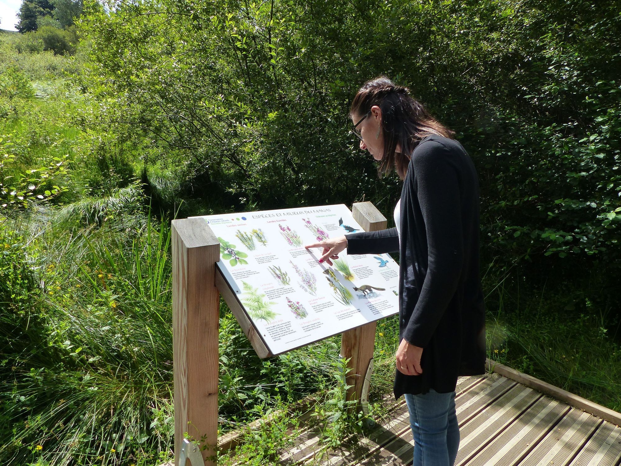 Un touriste consulte le plan du site