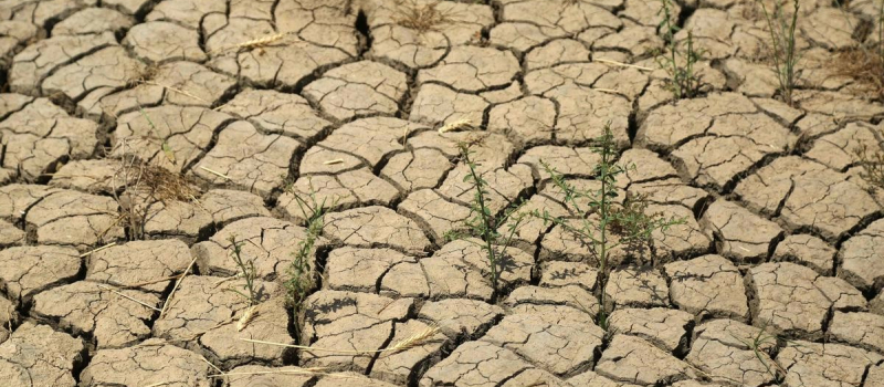 La sécheresse continue à gagner du terrain dans le Gers : nouvelles restrictions pour l'usage de l'eau