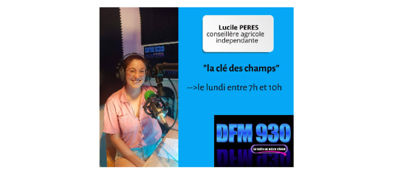"La clé des champs" une chronique hebdomadaire de Lucile Péres, conseillère agricole, sur DFM 930