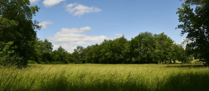 Les prairies des rivières de Gascogne mises à l’honneur à Gascogn’Agri