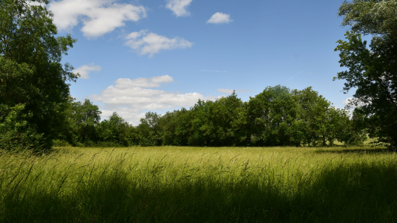 Les prairies des rivières de Gascogne mises à l’honneur à Gascogn’Agri