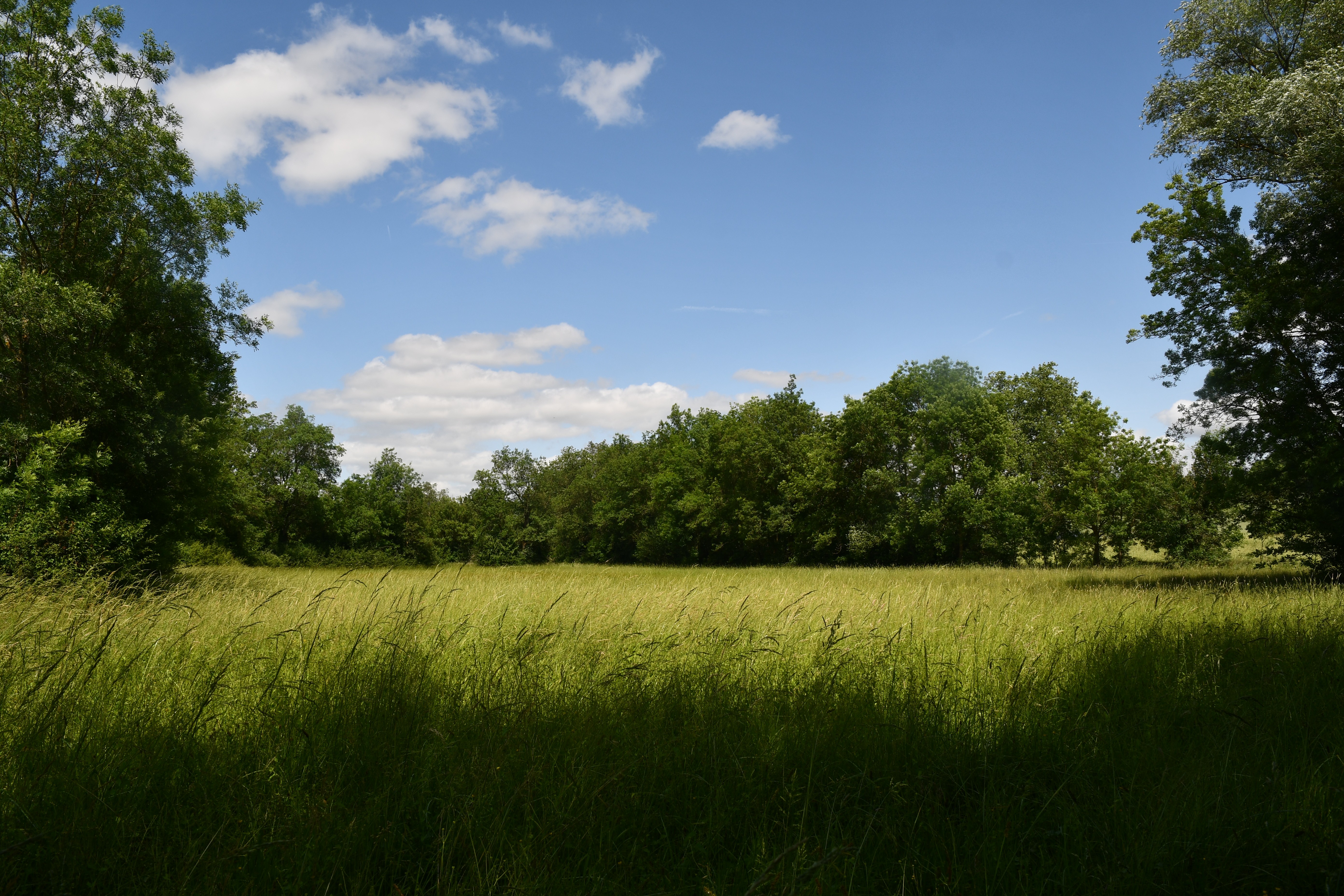 leches_paysage.JPG