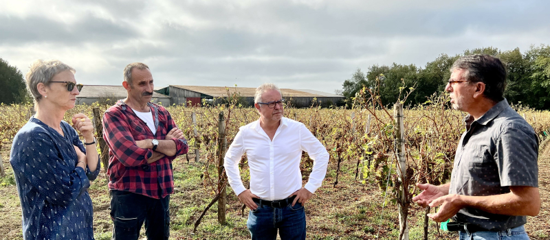 Philippe Dupouy au plus près des viticulteurs sinistrés par les orages de grêle