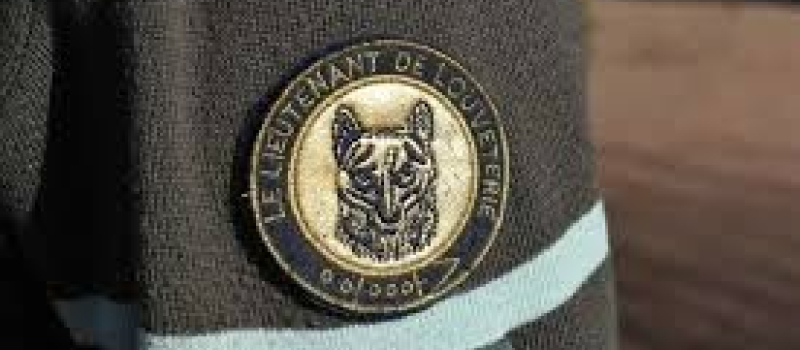 Recherche lieutenant de louveterie