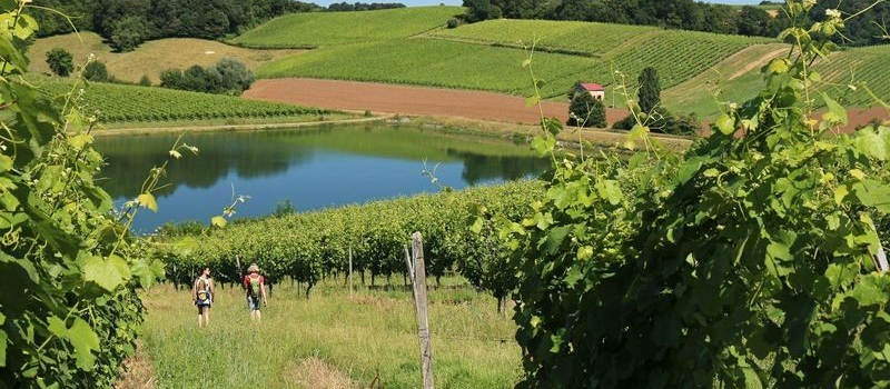 Randonnée VTT  et marche
