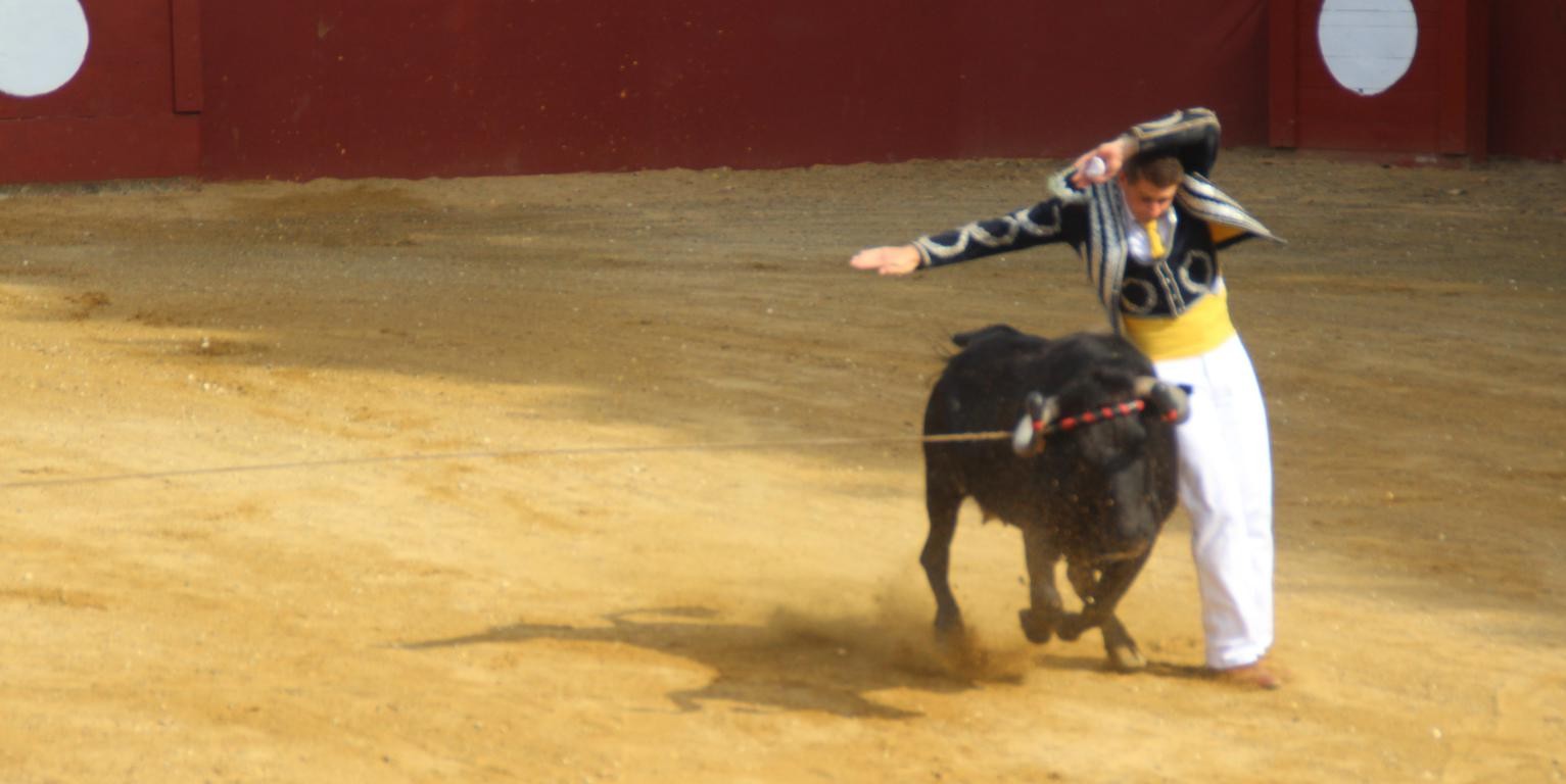 Photo d'archive : Alexandre Duthen