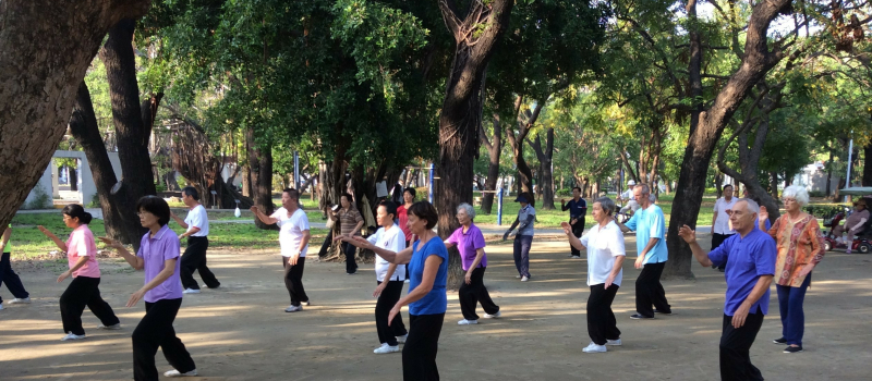 C'est la reprise pour les cours de Qi Gong et Taï Chi Chuan