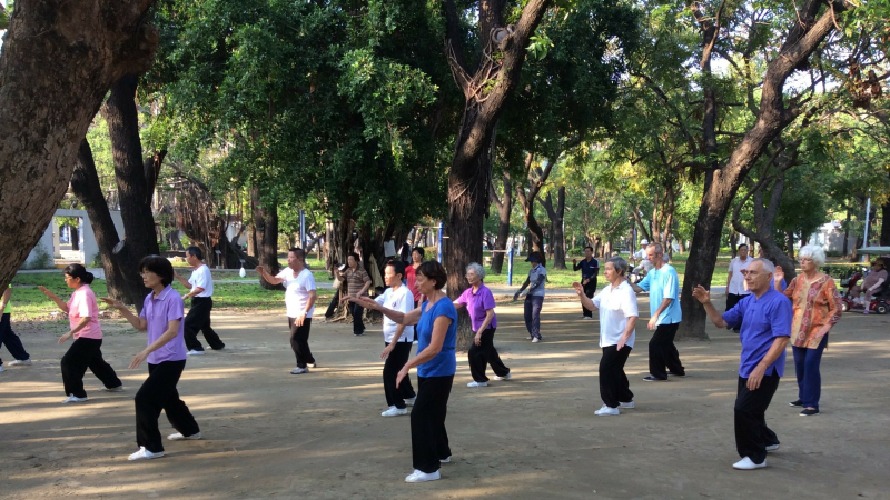 C'est la reprise pour les cours de Qi Gong et Taï Chi Chuan