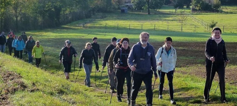 marche nordique.jpg