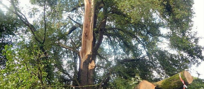 Encore une mini tornade sur la ville