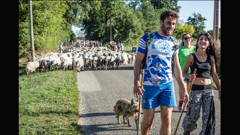 Fête de la vie paysanne d'antan et de la transhumance au Musée de Toujouse