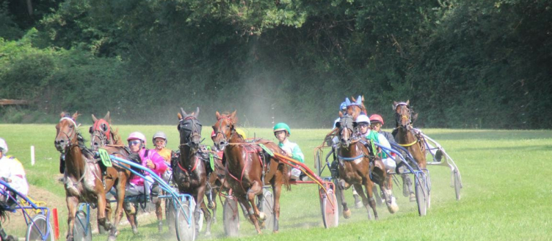 Les animations et les sorties