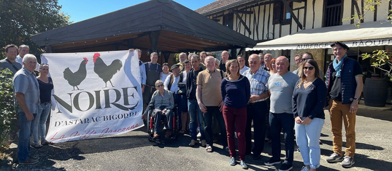 Les chapons et les poulardes Noire d’Astarac se préparent pour les fêtes.