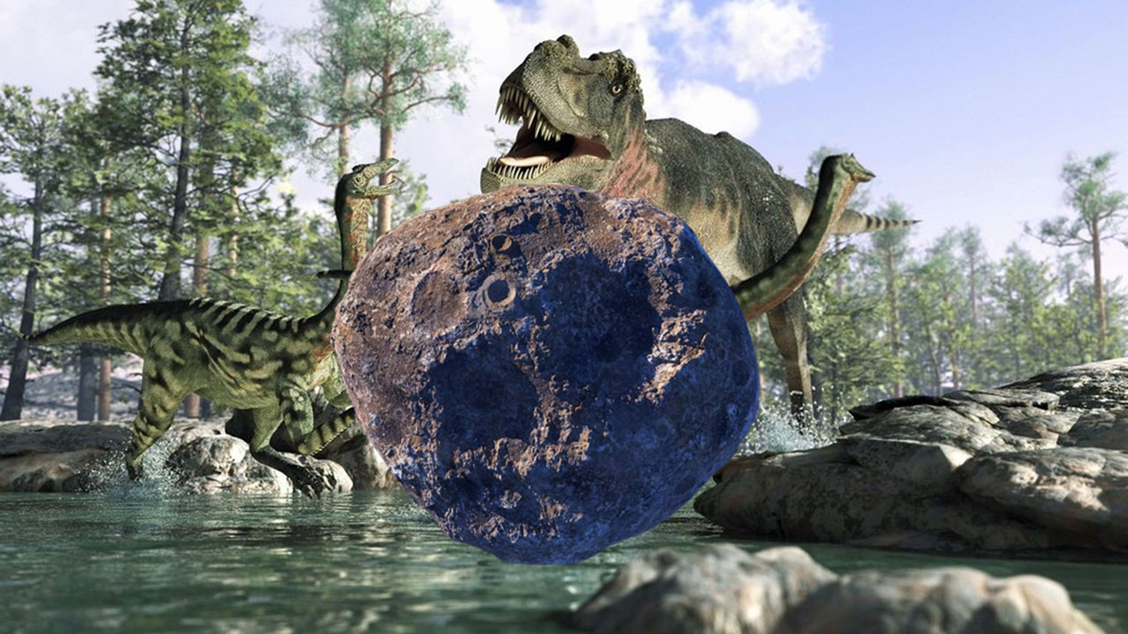 Image10.png