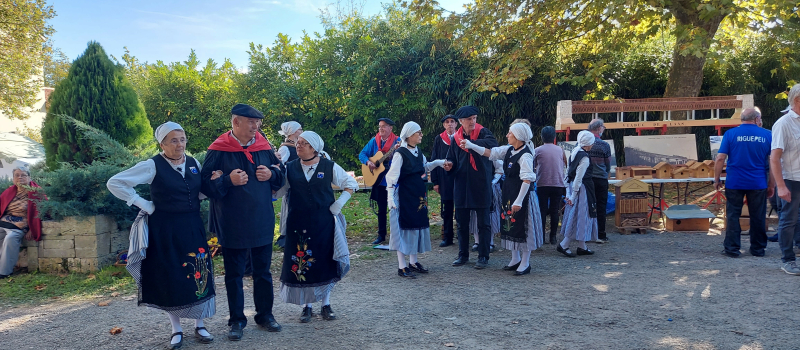 La foire aux oies de Riguepeu, c'est dimanche 16 octobre !