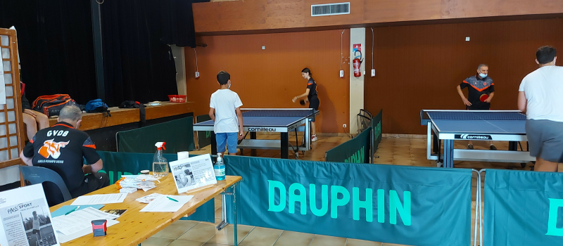 VEGA TT, tennis de table Eauze, Vic-Fezensac et Saint-Michel (Mirande) : l'union fait la force!