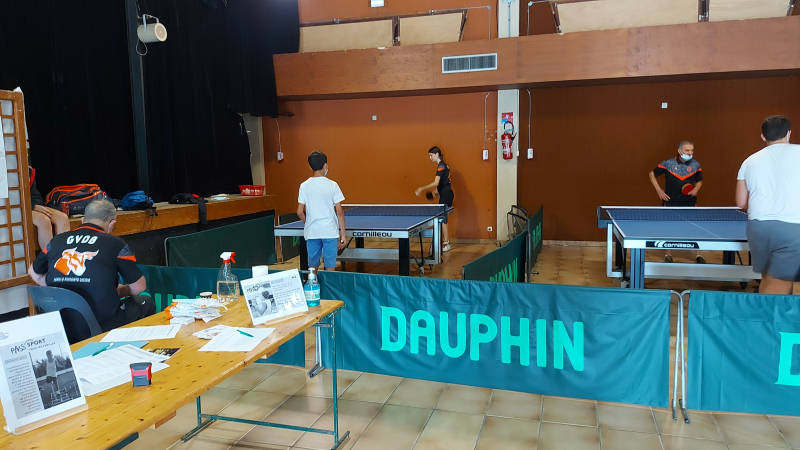 VEGA TT, tennis de table Eauze, Vic-Fezensac et Saint-Michel (Mirande) : l'union fait la force!