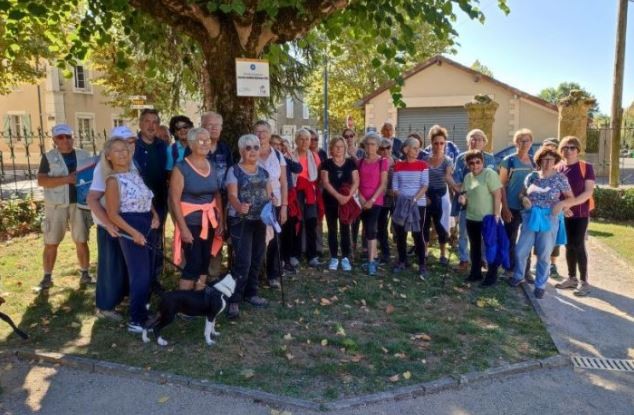 france alzheimer mirande arbre.JPG