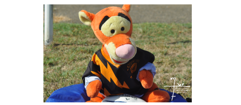 UAV Rugby : le programme du week-end