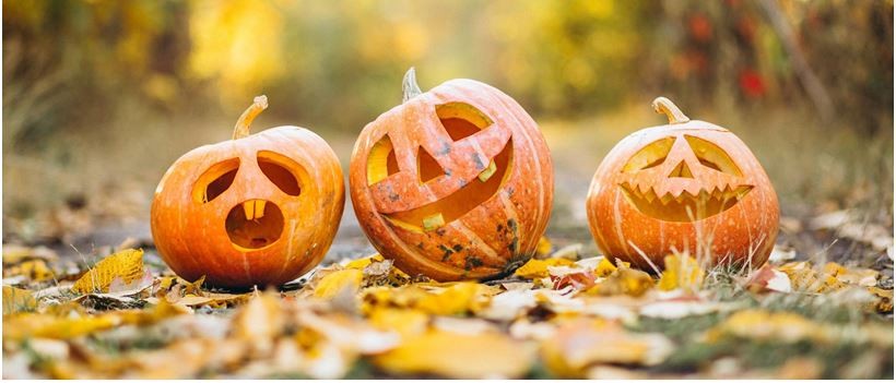 fabrique hallowen.JPG