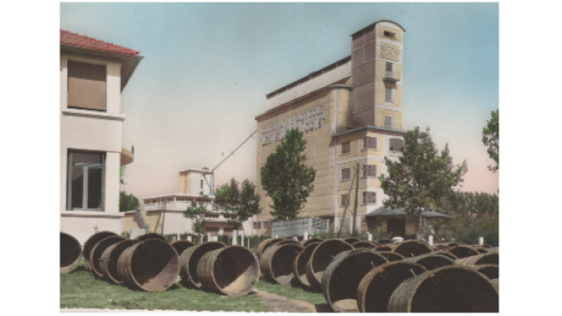 La cave coopérative vinicole a vécu...
