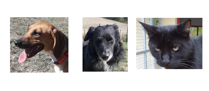 Capture d’écran 2022-10-13 221729.png