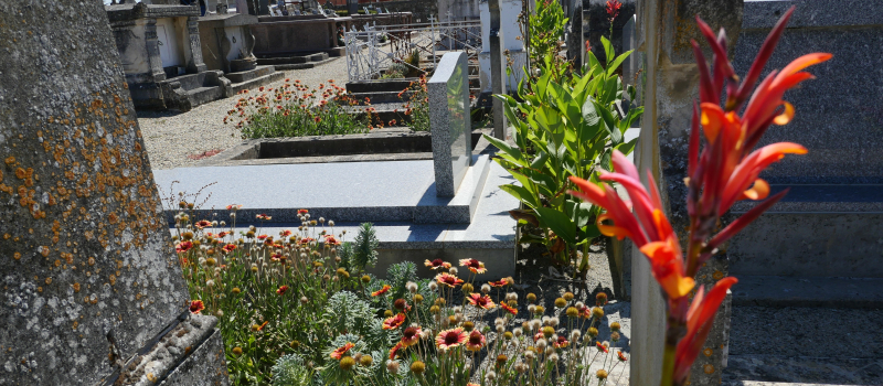 Le cimetière centre de Fleurance se végétalise pour une gestion plus écologique