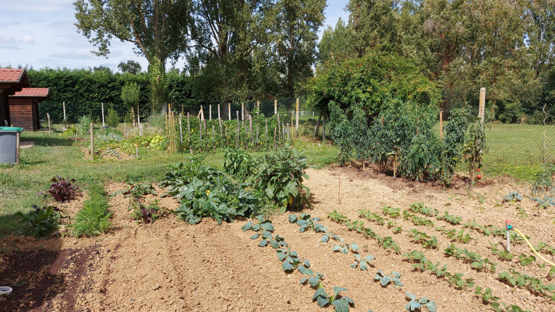 Comment gérer l'eau dans les potagers et les vergers?