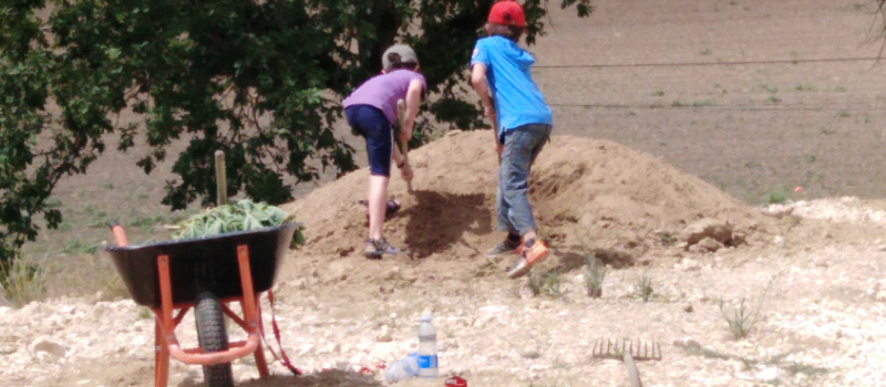 Les P'tits Moussent : journée bricole et potager mercredi