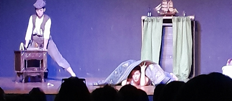 Fleurance: Un spectacle jeune enfant offert par la Zankà Cie