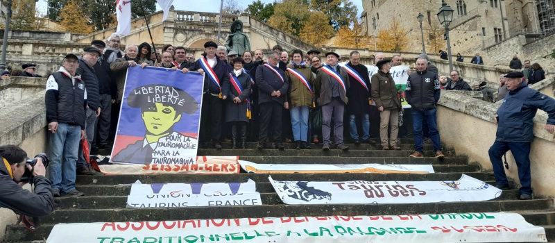 Belle réussite de la mobilisation pour défendre la tauromachie et l'identité culturelle