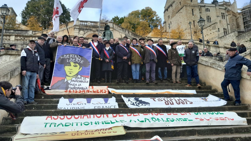 Belle réussite de la mobilisation pour défendre la tauromachie et l'identité culturelle