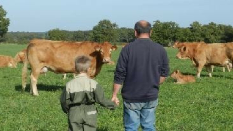 La transmission et l’installation en agriculture au cœur des Forums « Transmission – Reprise »