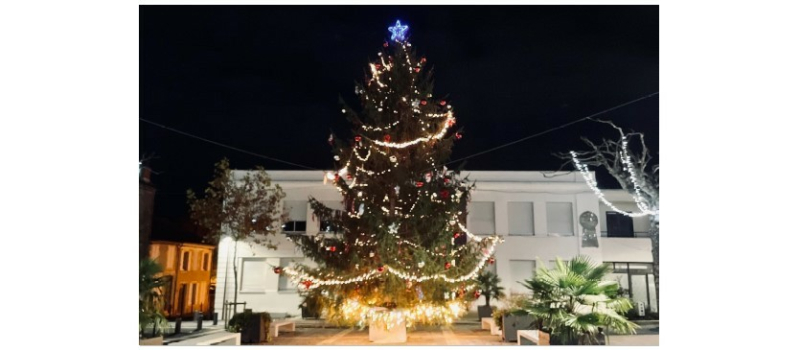 Marchés de Noël, expo-vente, vide-grenier, c'est à Vic-Fezensac ce week-end !
