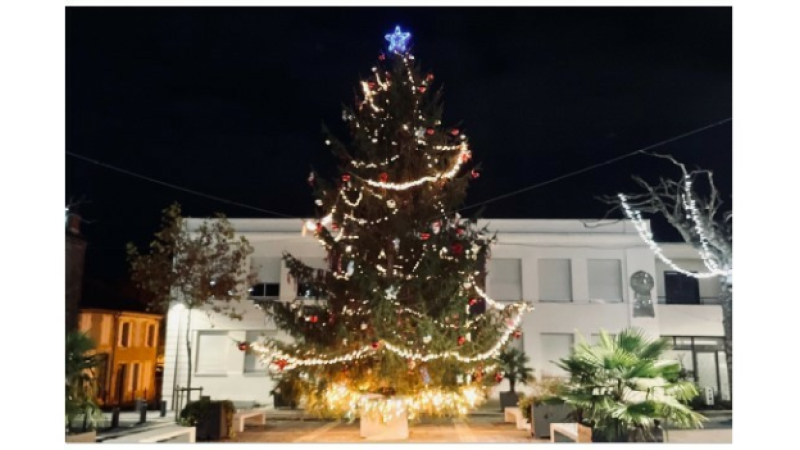 Marchés de Noël, expo-vente, vide-grenier, c'est à Vic-Fezensac ce week-end !