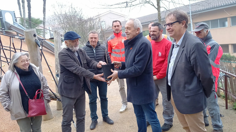 "Auch fête le Japon", un ginkgo biloba planté au jardin du square Cuzin