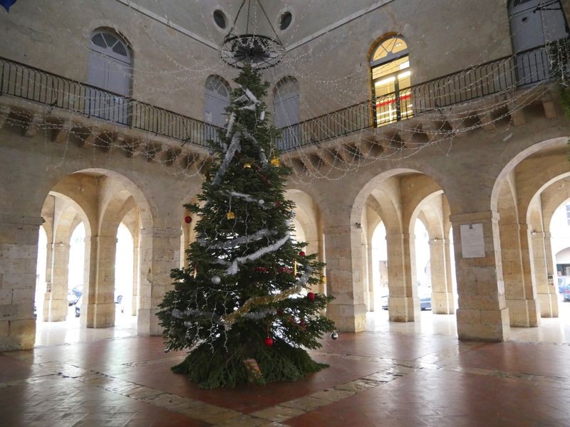 sapin-noel.jpg