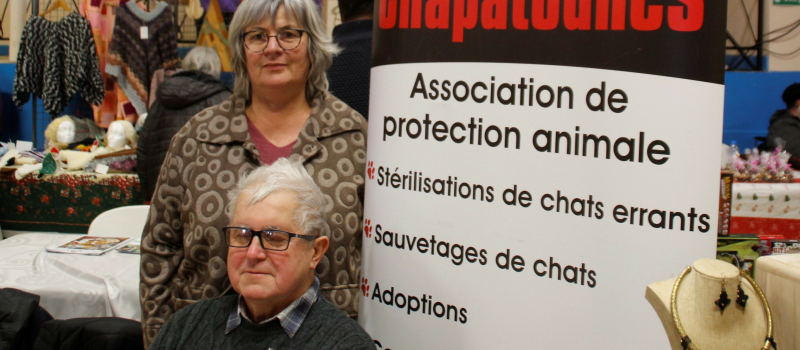 Chapatounes, le calendrier nouveau est arrivé