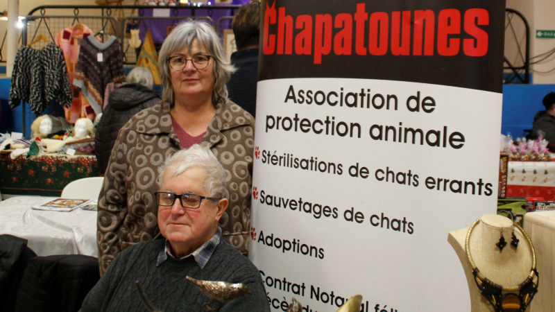 Chapatounes, le calendrier nouveau est arrivé